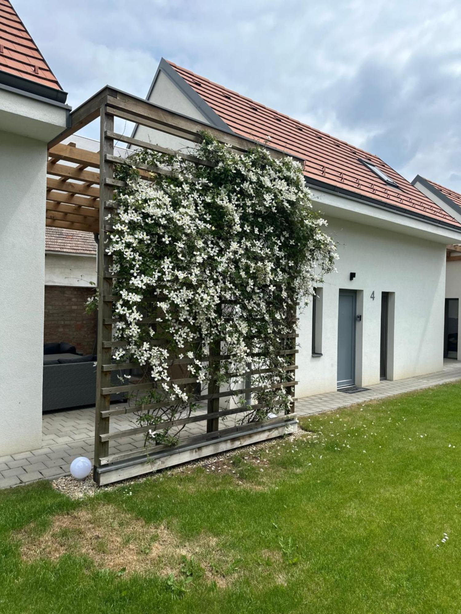 Appartement Dream Levél